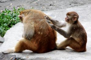 10-day Kathmandu Nepal Lhasa Tibet Sichuan Chengdu Tour
